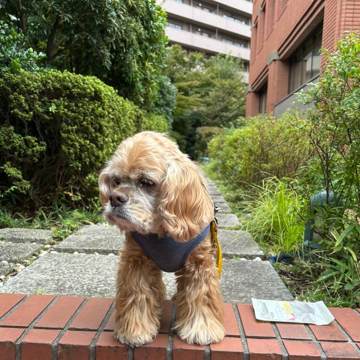 8c047a71 276a 4752 b316 4c5b4eef6492 1761142211822