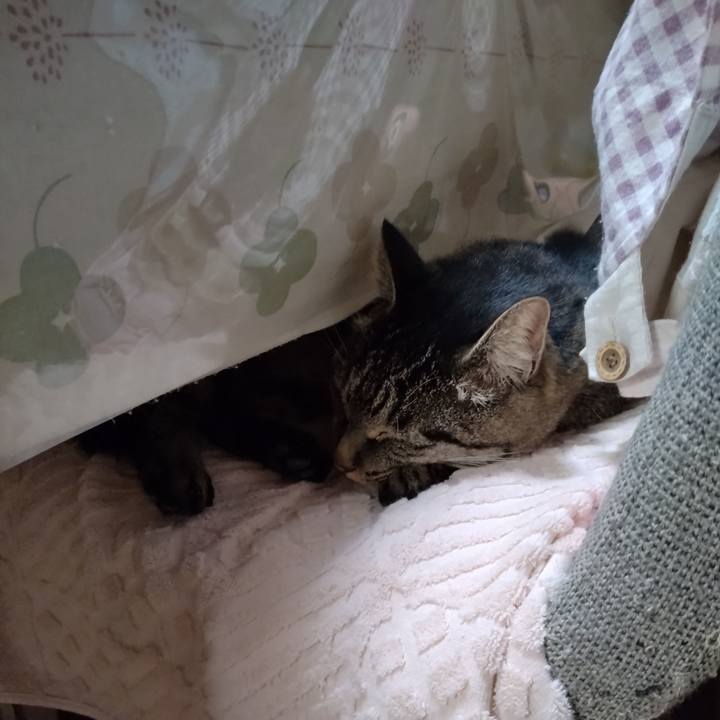 8c0482d4 d281 4687 bd4b 76a6b31654b2 1667824742007