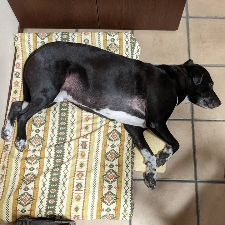 8c049d50 0458 4d6e 8c5f ea5aa4bab17c 1667992482885