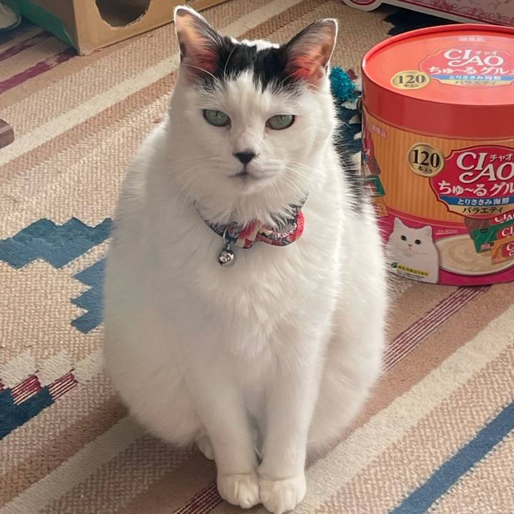 8c04af3f ed8d 41b3 a084 c645fac7f33b 1739605632109