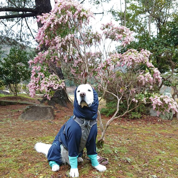 8c04b135 1cf0 4097 85bc 7472258260da 1583057542395