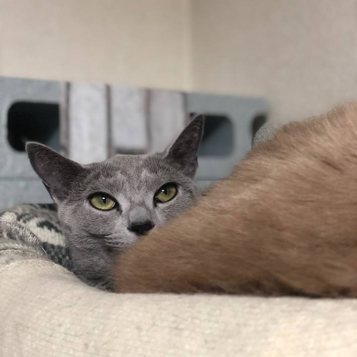 8c04c00b 3e21 4f8a 9bc4 21394d7e9859 1547639225626