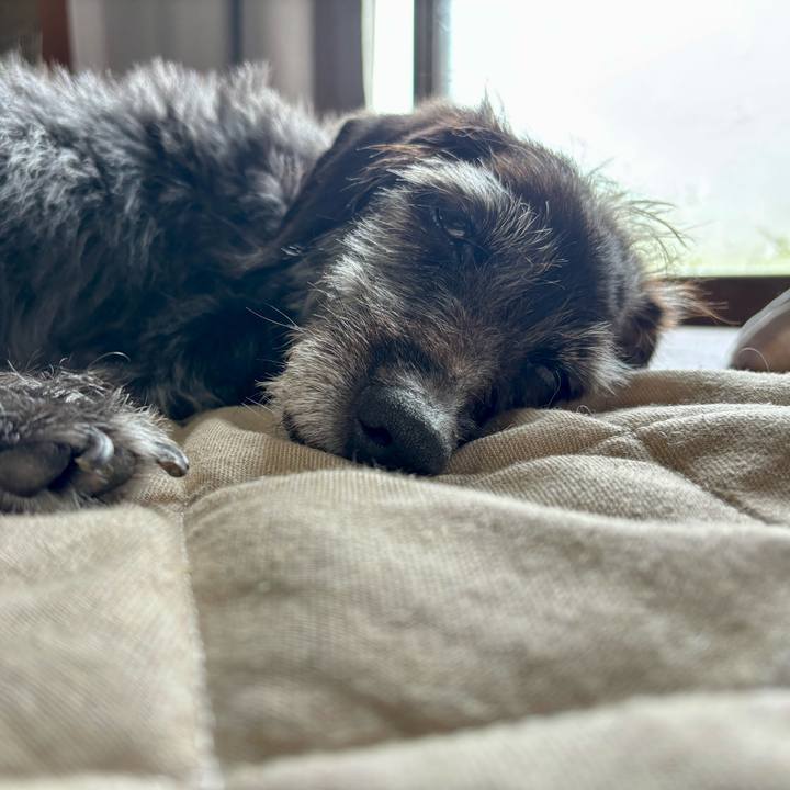 8c04db7b 6b7c 44ed 899f 5d56cae46768 1757894945113