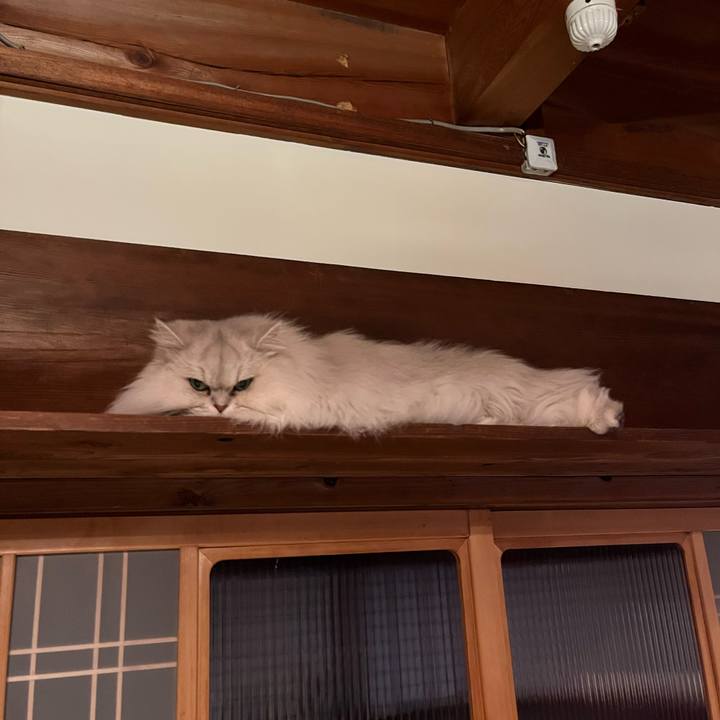 8c05988b 2adf 493e b30d 039a90a72b08 1641902230869