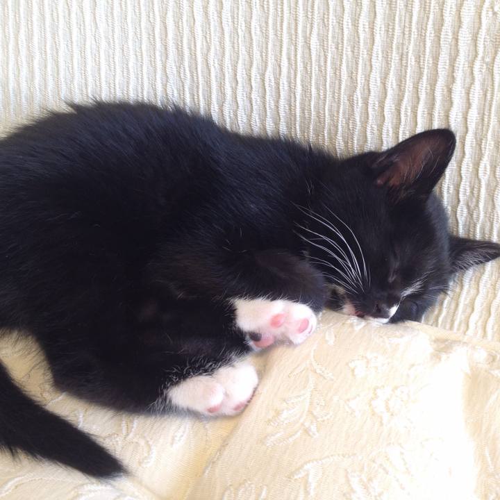 8c05c31d 9786 4515 9288 6915629a5487 1534839464375