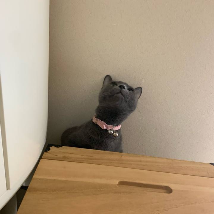 8c05d8d8 1976 40d1 af6a 269c87746591 1588312680181