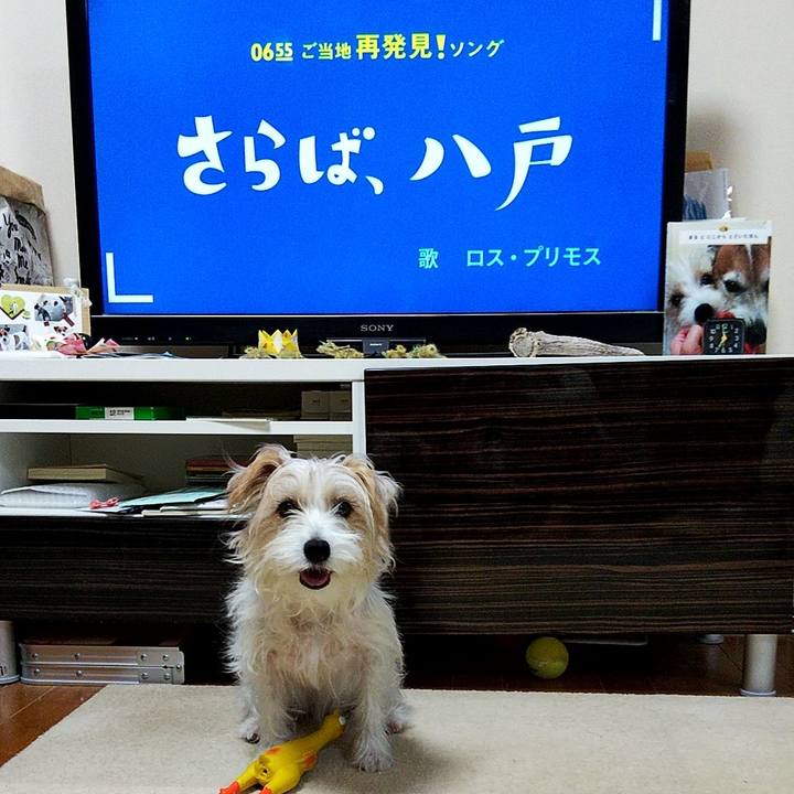 8c05f8f6 1cf2 48c6 8137 2a05e587c592 1572386459228