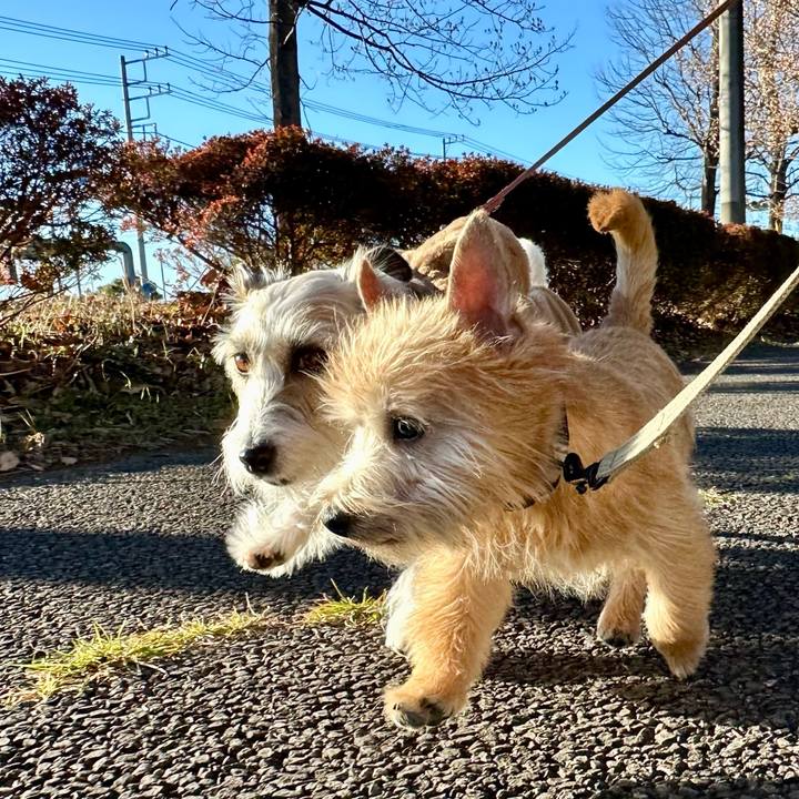 8c05fd65 3989 42fe 95de 20e2042799b8 1706367349731