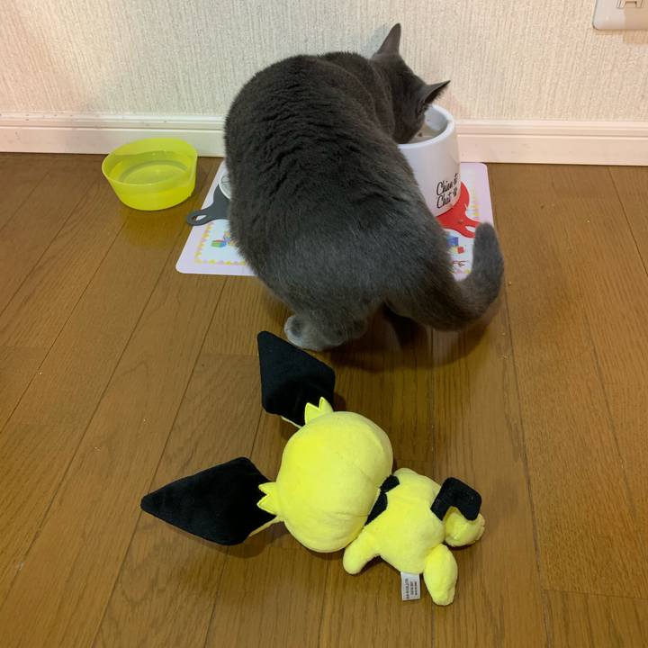 8c063fe7 449a 4bb1 8bba b28574801917 1580677923125