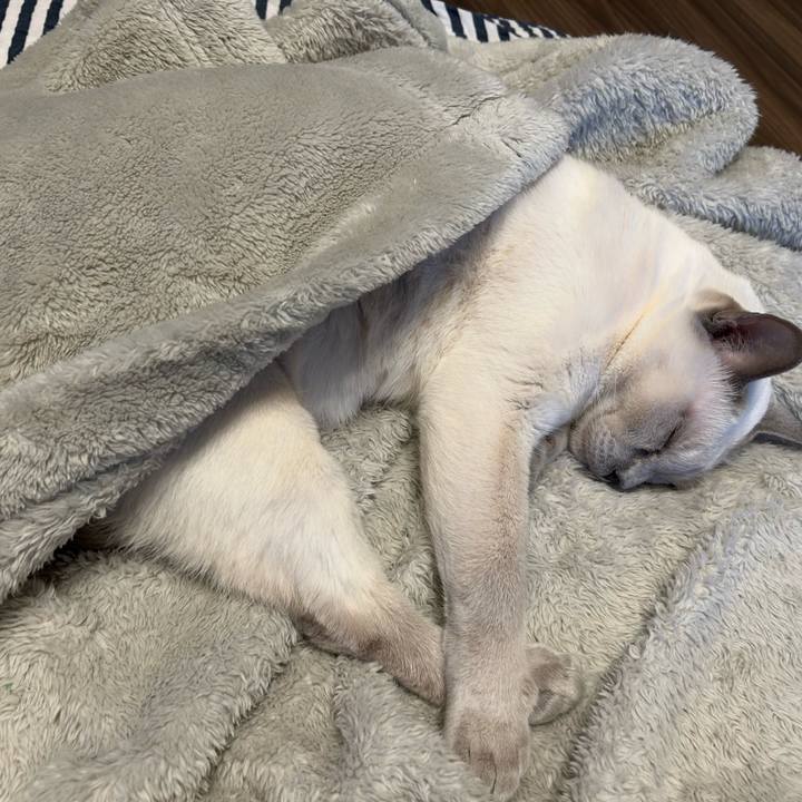 8c0669c8 8455 4b01 b84e 97870ac693b1 1736425883543