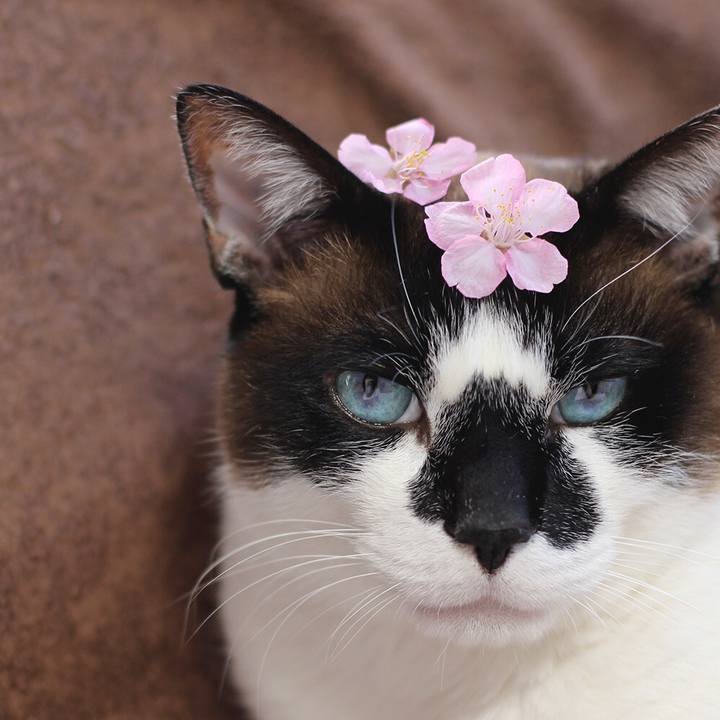 8c06bdf7 84b1 43ee 9ceb f3cd4038a09f 1554693351069