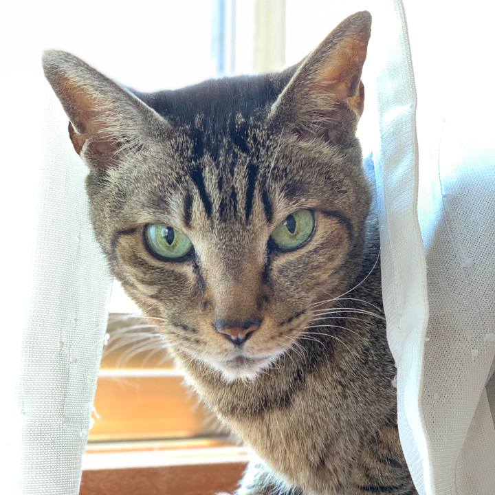 8c06c455 6c5a 4c6c b070 364d7f87fb3a 1588381423144