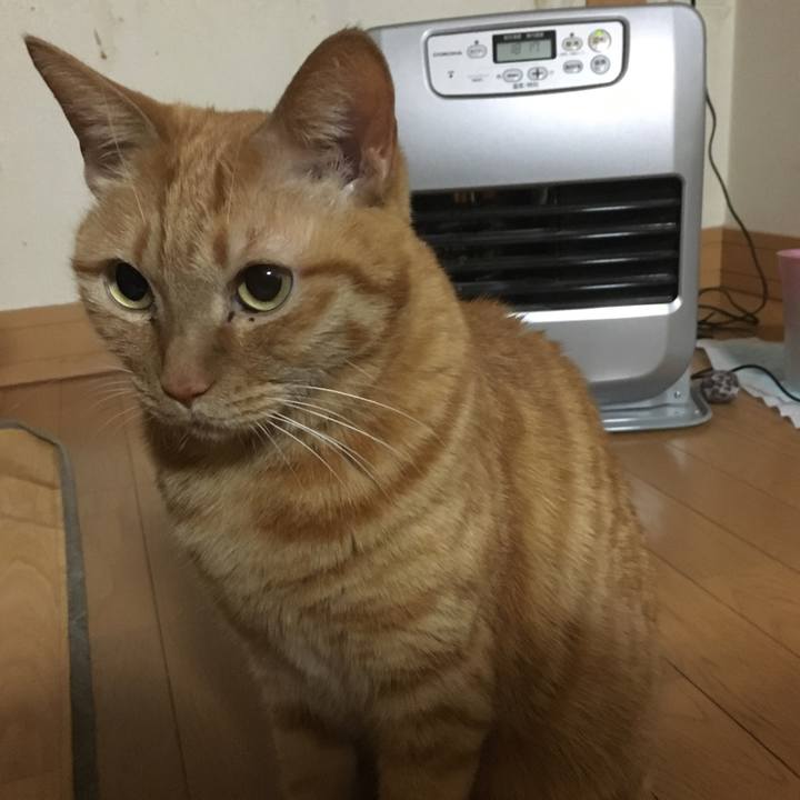 8c0711a8 6905 449d a697 9bedb1a0eb99 1518434910282