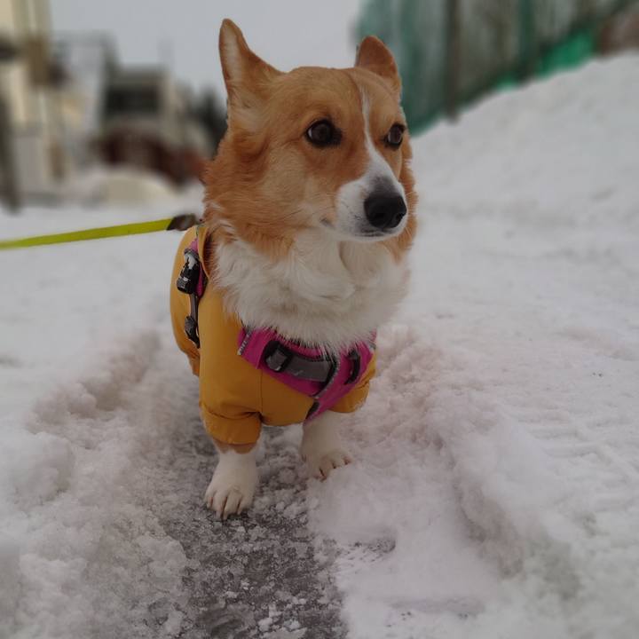 8c071ece 777b 4b65 9582 e11df3be416f 1771890330646