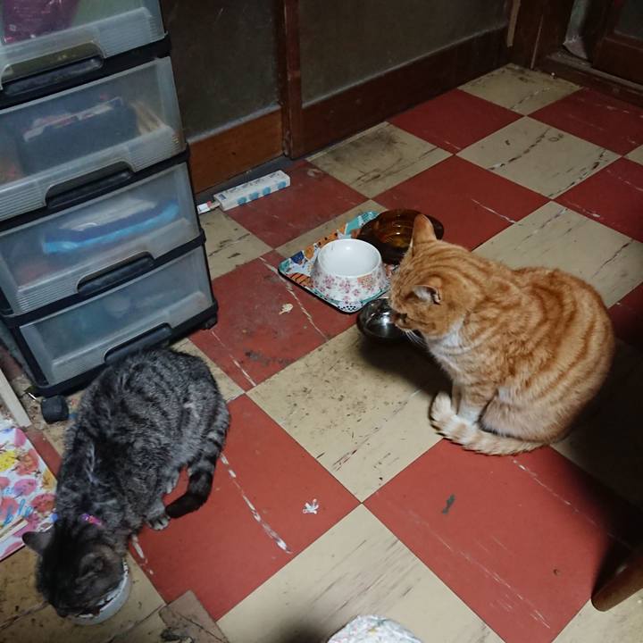 8c072867 0575 4dd1 b6ed bb7f1dc0f839 1582833066430