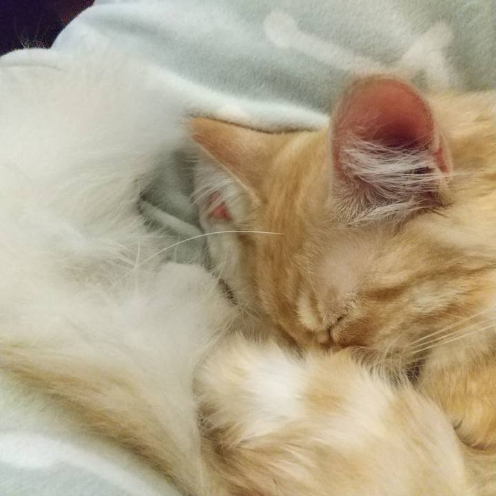 8c072925 fabf 4e56 ac38 e0ee59b9ebda 1615609598980