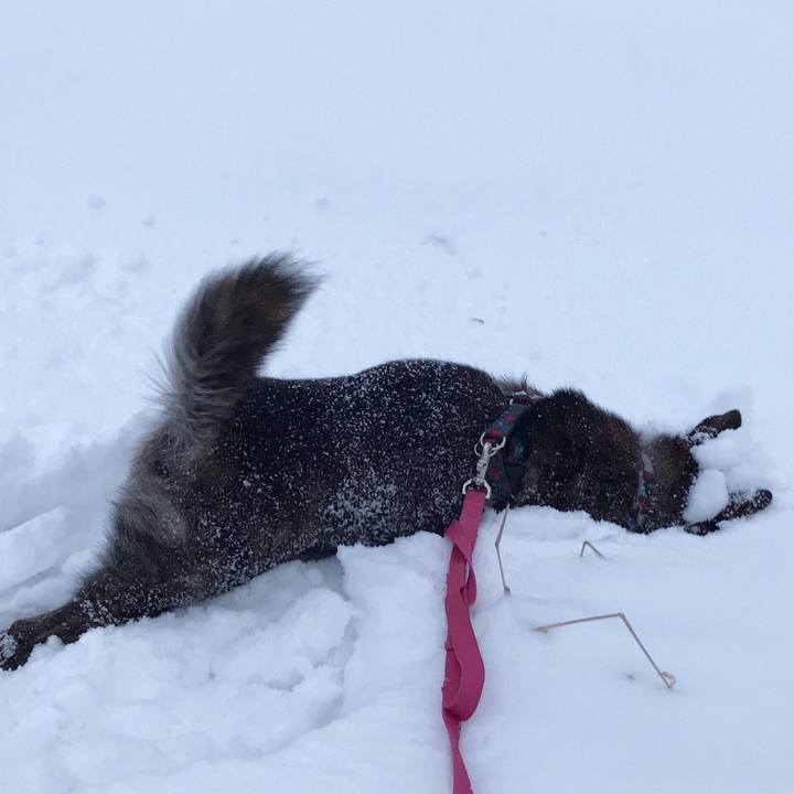 8c073a9a b495 4caa 8233 ee1e260f67d7 1517264699356