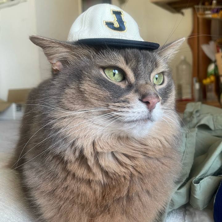 8c073dad 6243 442c b8c3 71a74a13c299 1774279590440