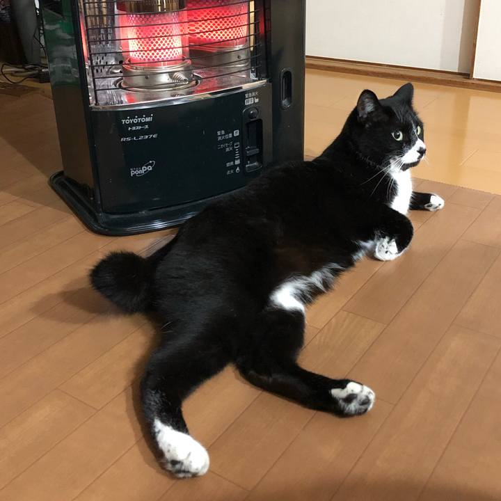 8c0751a3 8bab 41e0 ab43 51b241dee90f 1584416754442