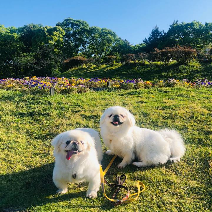 8c0771eb 7ff0 4057 96b3 1f9829aa4bf1 1620000905370