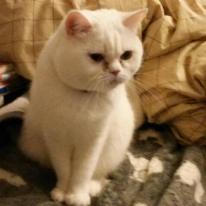 8c07a2d4 3a73 400f 80cb e9a360d3ac46 1521155266432