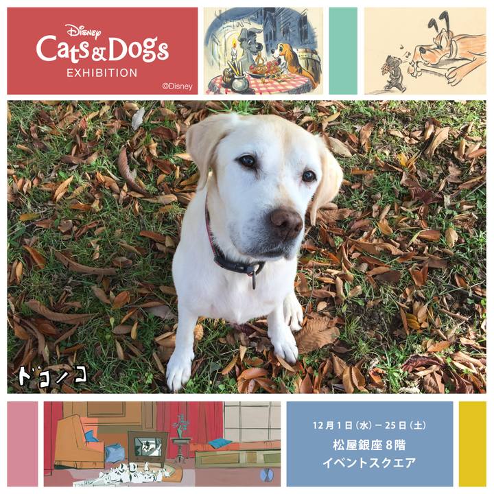 8c07c56f 99fa 4bc5 88e9 17b4afd9dfd2 1638341359078