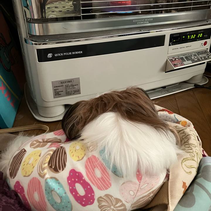 8c07c579 4bd4 449d acba 244bb914cf1e 1734389656032