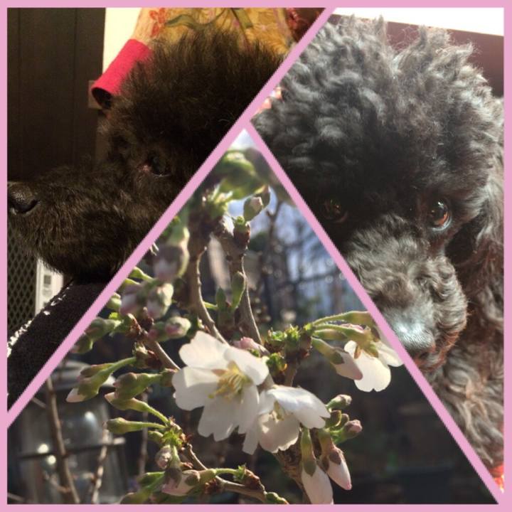 8c07ec30 ce89 47d7 9b68 a04fa1604afa 1521794171318