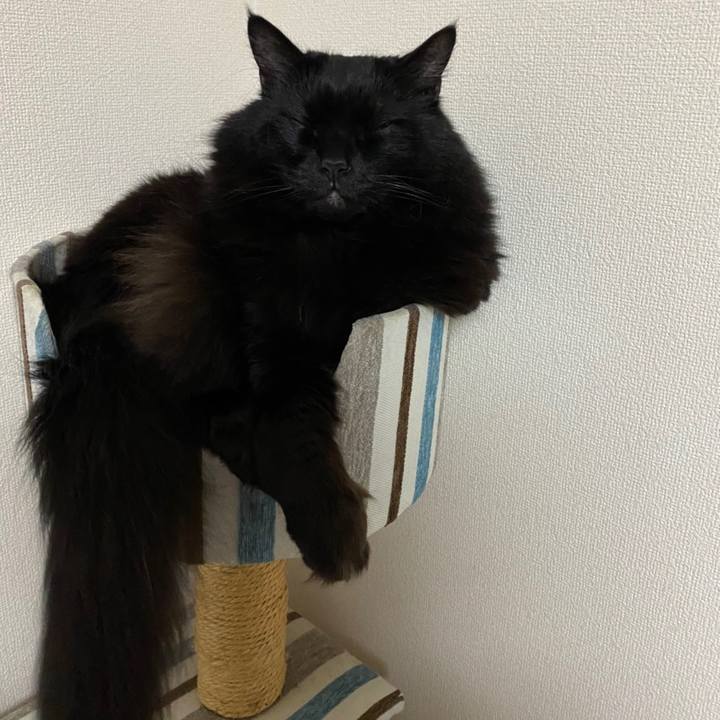 8c080b4d c806 4685 ab05 7b44978810ae 1609507423801