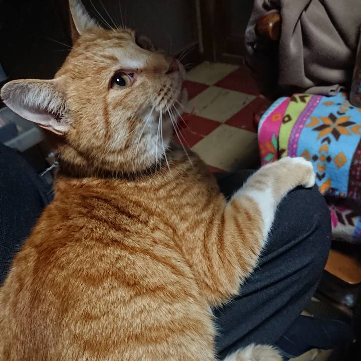 8c082541 bf25 4f87 8ed3 be2959052c6c 1575276786167