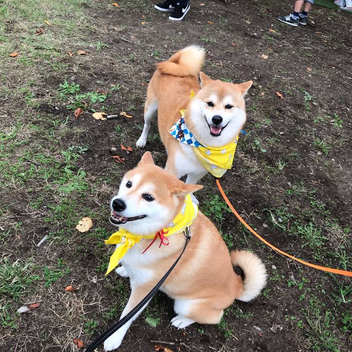 8c082b45 6f08 4aae 9fc9 0c25f73abb41 1569655723655