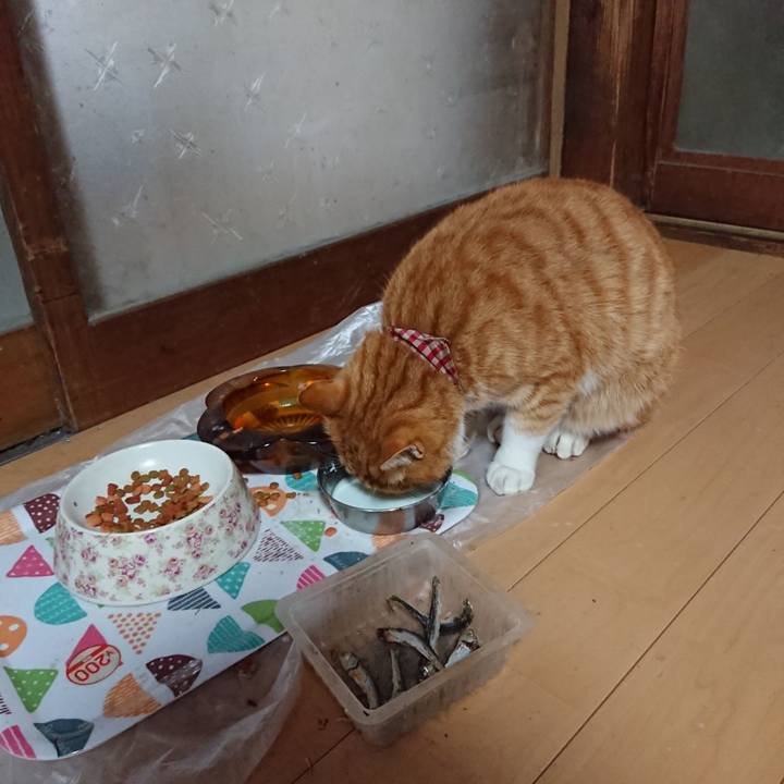 8c087d66 d5d7 41b7 924a 88395e7f423b 1606091161066