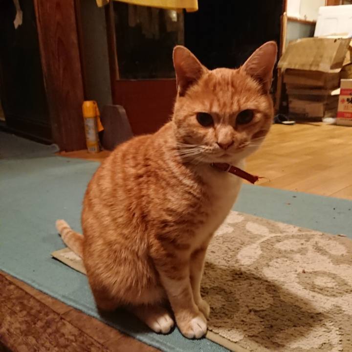 8c088238 6c37 413c ab3a 5805e15b2600 1574413103740