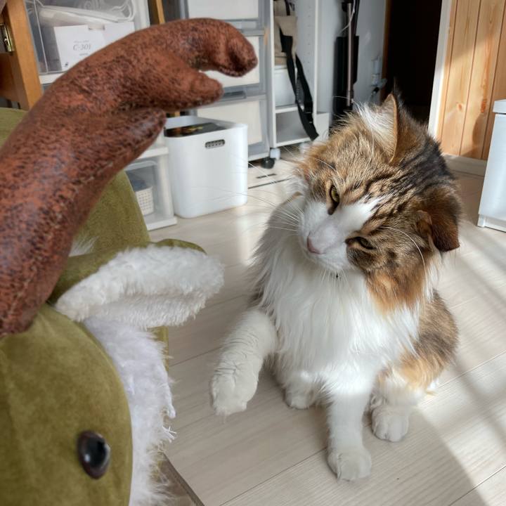 8c08f215 4584 4bba b557 5113023ac513 1669187307746