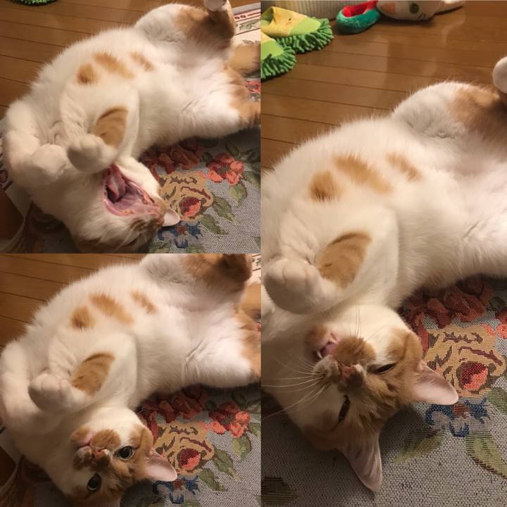 8c0944f3 530b 49f3 a535 529a159ea1e1 1588415542527