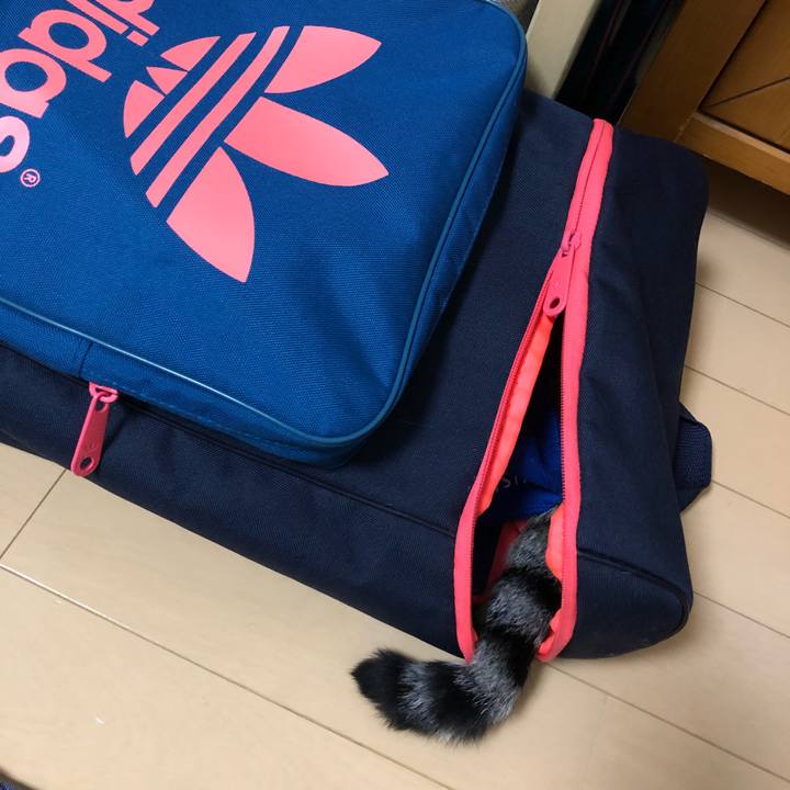 8c095b98 8293 4c29 8d53 6b1ec64c6a53 1528805023374