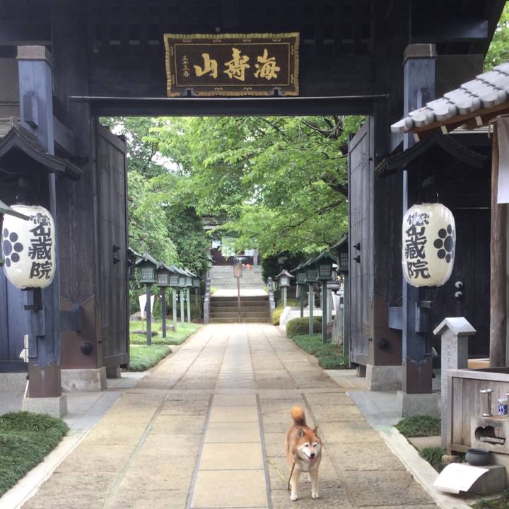 8c096b0c 2670 4652 a137 06293a839966 1624335797339