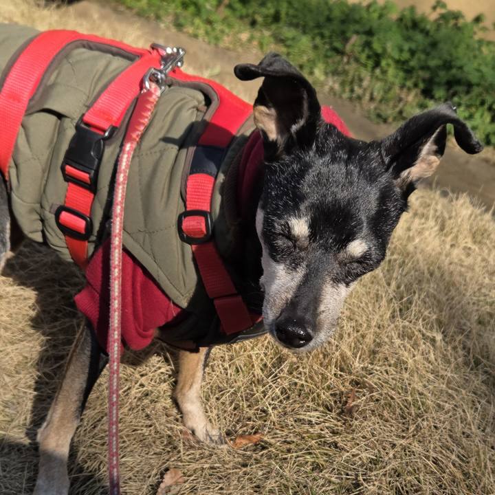 8c09a837 117a 4821 afb4 bab0e390bce9 1768531769638