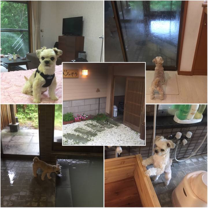 8c09b446 6b83 4071 9255 6d7fd66303a0 1560587353590