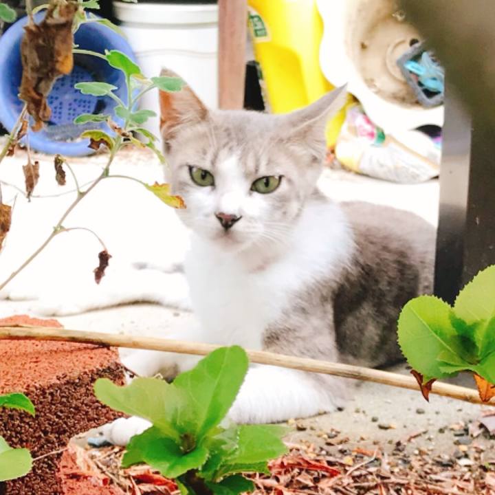 8c09ea84 8810 4ba9 8f8b e04916b27db2 1535881742257