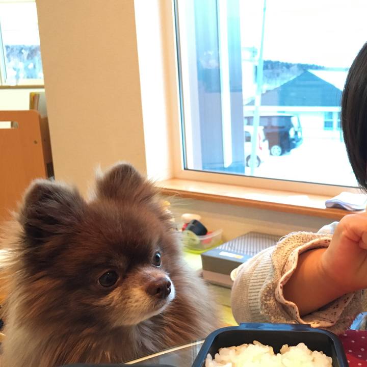 8c09f341 23e6 42ac a0ef 917bfc6dcda7 1519309260711