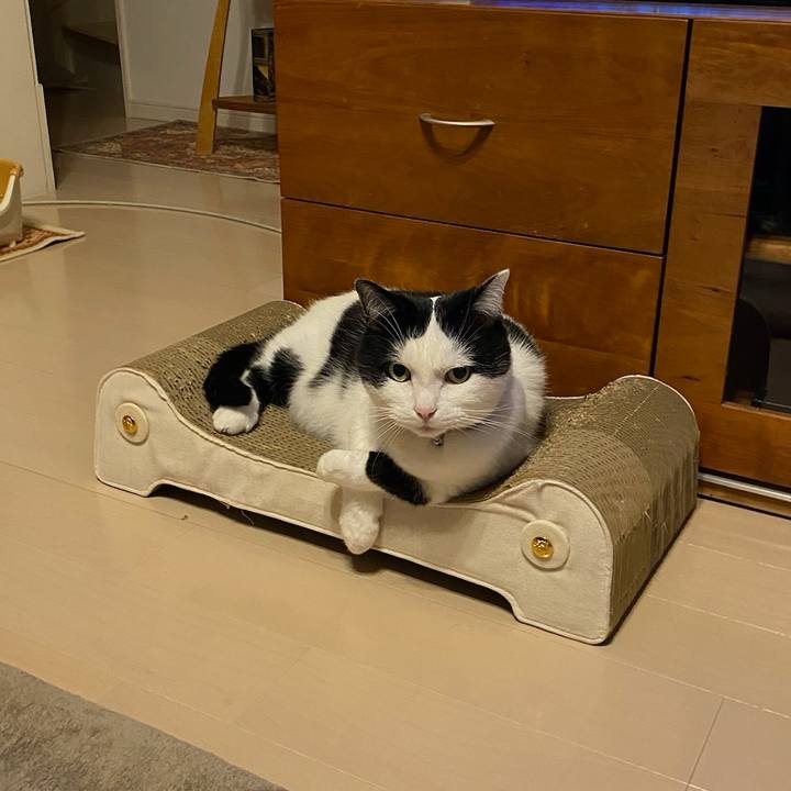 8c09f5fb 9a20 4b97 91d6 a346b0429b96 1775431036070