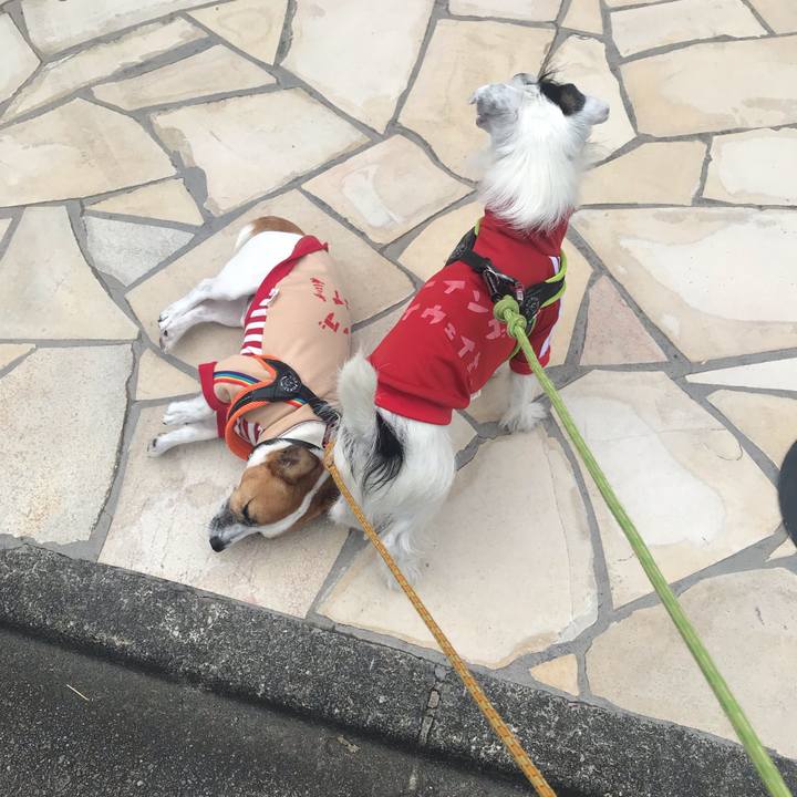 8c0a1651 fd6e 44fc 8174 c8d899e025e3 1541296782426