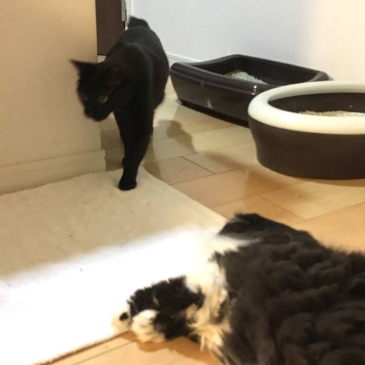 8c0a6067 d7f7 4541 a478 d09ace99feff 1531673660943