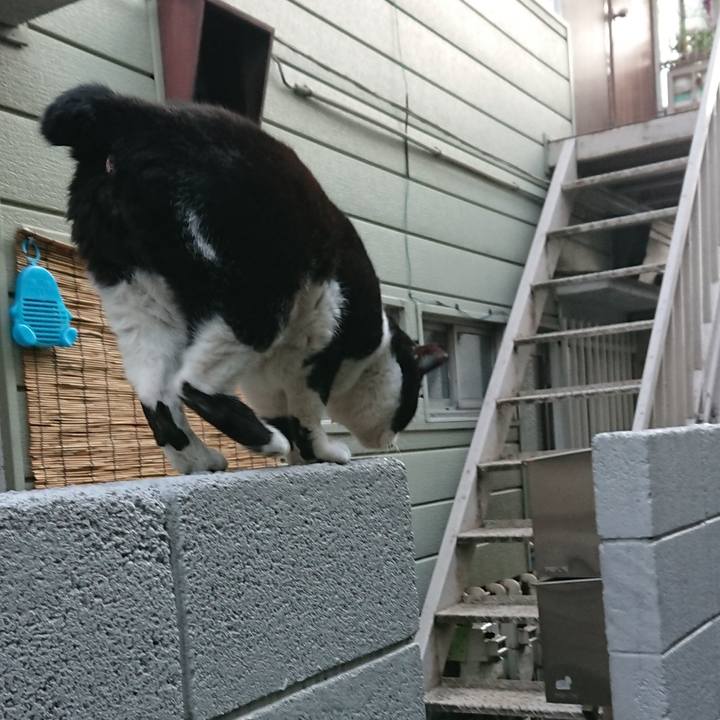 8c0a776c 83ba 425a 92ac ce6246246eba 1546903056580