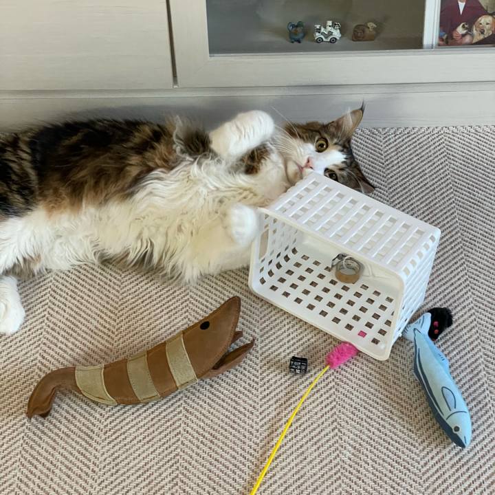 8c0abd82 931a 4802 9d29 6e7b5c0134c9 1652644651849