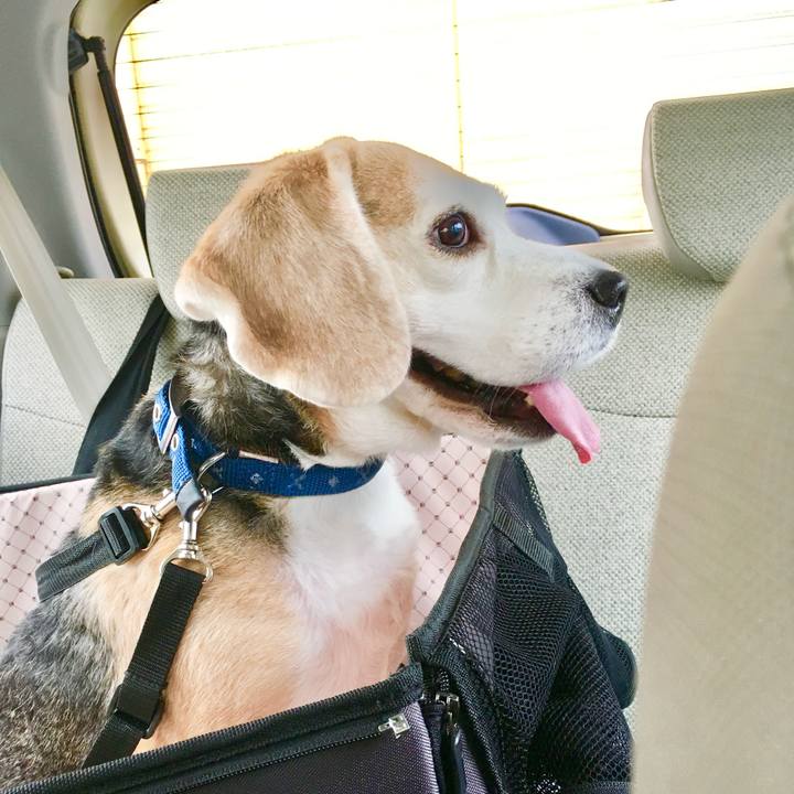 8c0acc09 809c 4fd3 be1b 07c17d989851 1774842278410