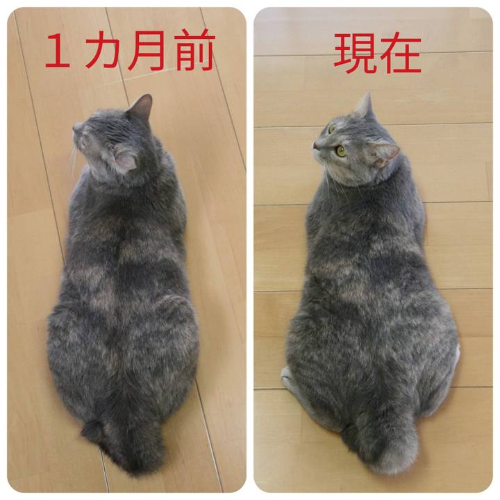 8c0ada07 5789 4c48 a7d6 8a2ff567fdc3 1532317864823