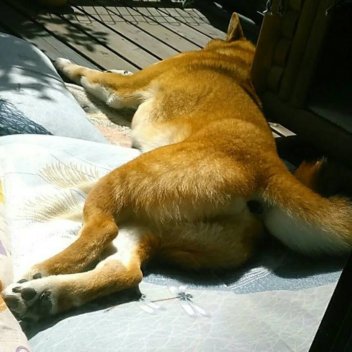 8c0b0265 ffd2 466e a37a 1f4c76fe2e7b 1554435027569