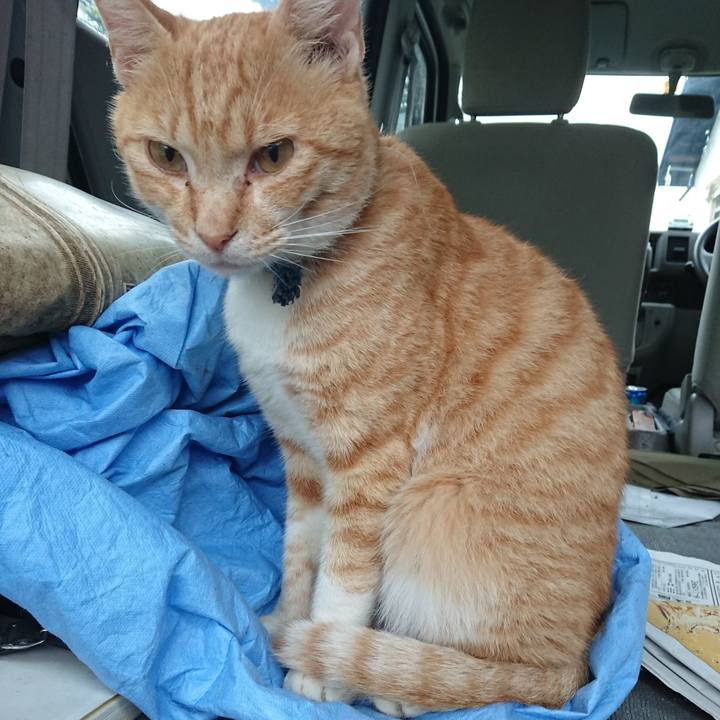 8c0b2eb4 e1f1 418a a916 3f3dbe7469e4 1562878025365